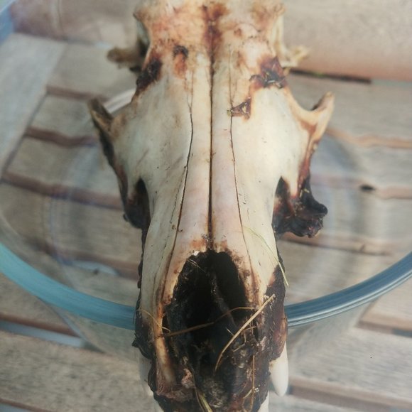 Thank you for shopping my closet. - Picture 1 of 1